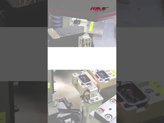 RM-EGB ইলেকট্রিক গ্রিপার∙ অটোমোটিভ ইন্ডাস্ট্রিতে কম্পোনেন্টের নির্বাচন ও স্থান পরিদর্শন