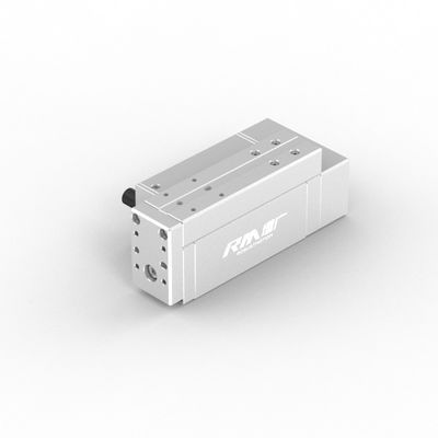 RobustMotion RM-RPLA ইলেকট্রিক ইন্ডাস্ট্রিয়াল লিনিয়ার অ্যাকচুয়েটর ইন্টিগ্রেটেড কন্ট্রোলারের সাথে, সর্বোচ্চ শক্তি আউটপুট 300N