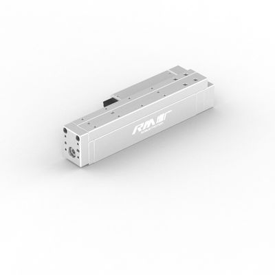 RM-RPLA 24V সার্ভো মোটর ইলেকট্রিক লিনিয়ার স্লাইড অ্যাকচুয়েটর, একক অক্ষ ধাক্কা, প্রেসিং জন্য
